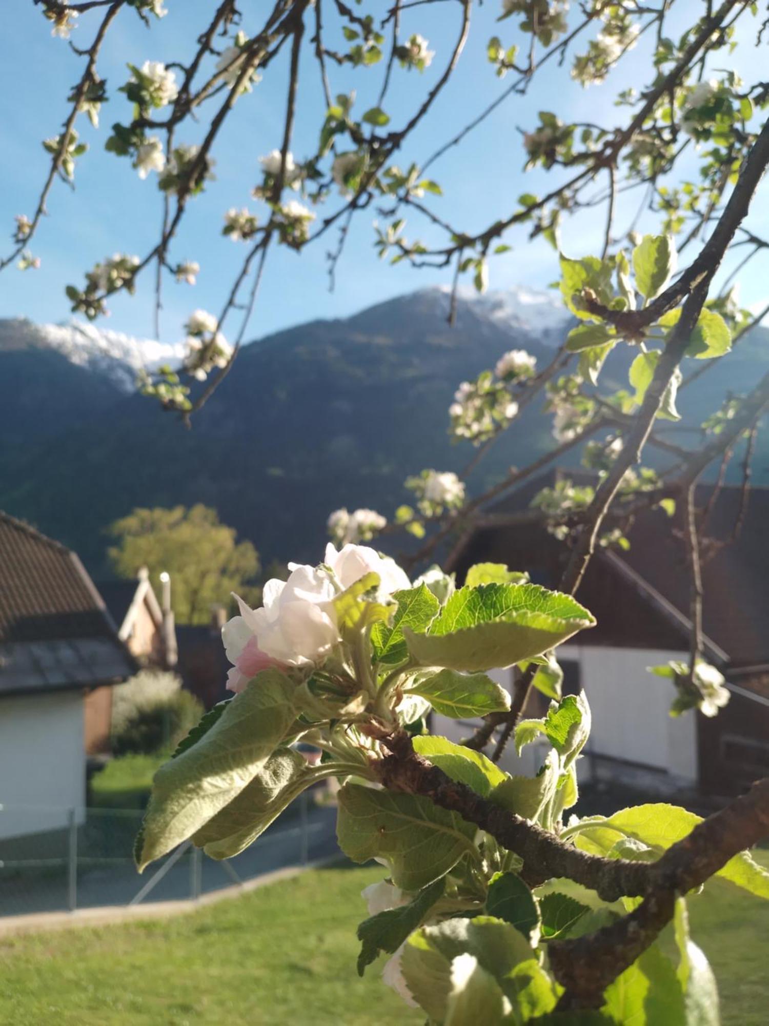 Ferienhaus Herrenschmiede Obervellach Buitenkant foto