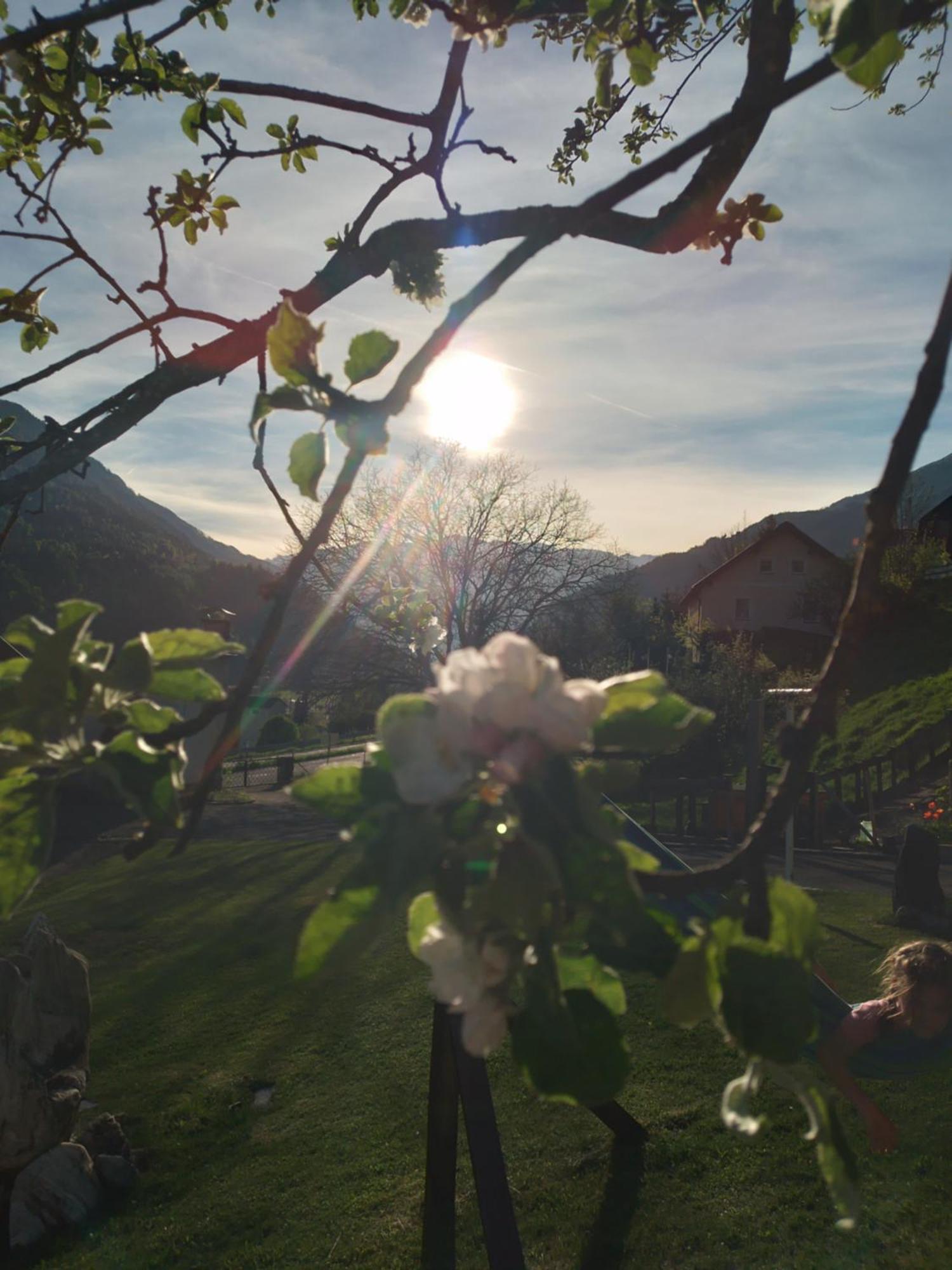 Ferienhaus Herrenschmiede Obervellach Buitenkant foto
